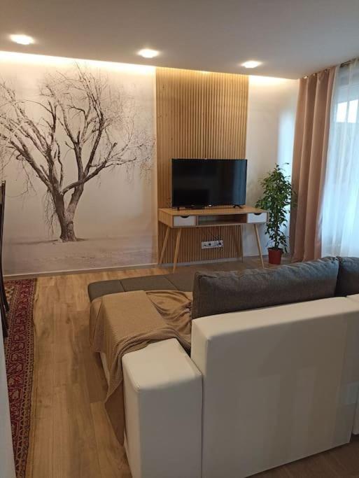 Tres Bel Appartement Rez De Jardin Appart De 53M2. Pfastatt Buitenkant foto
