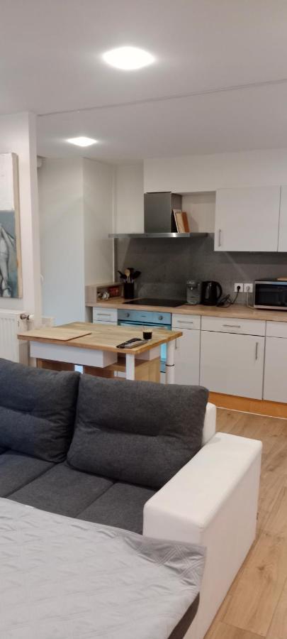 Tres Bel Appartement Rez De Jardin Appart De 53M2. Pfastatt Buitenkant foto
