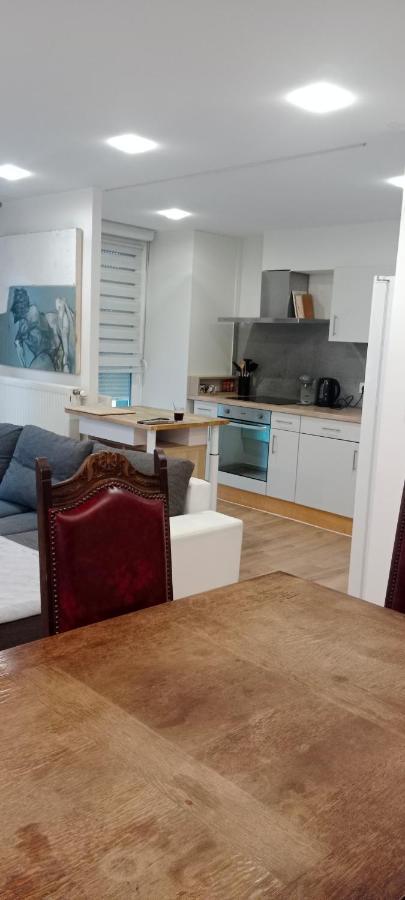 Tres Bel Appartement Rez De Jardin Appart De 53M2. Pfastatt Buitenkant foto